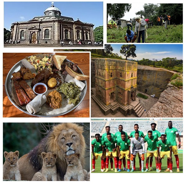 india-ethiopia-business-and-cultural-council-about-ethiopia